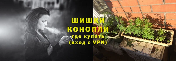 сатива Рославль