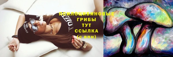 МДМА Лагань