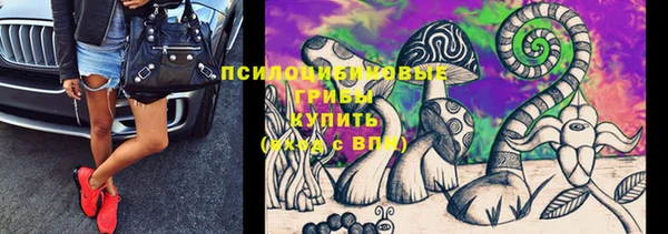 мяу мяу кристалл Ладушкин