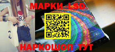 стаф Краснодар