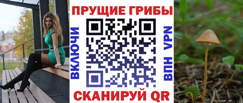 закладки  Красноуфимск  Галлюциногенные грибы мухоморы 
