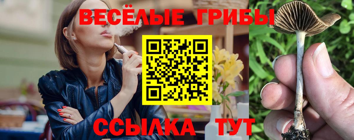 Псилоцибиновые грибы мицелий Красноуфимск